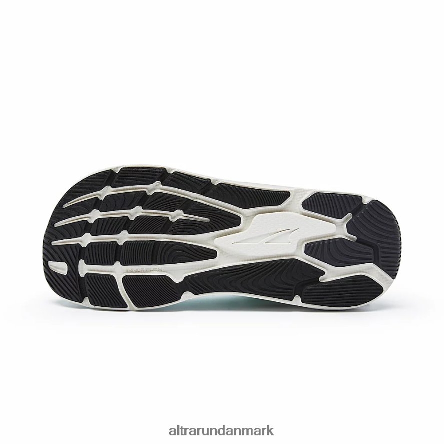 Kvinder mynte paradigme 6 2J4ZN8107 Altra vejsko